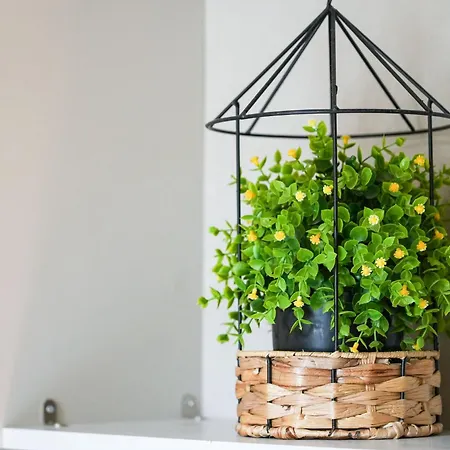 Apartment Gioberti Turin